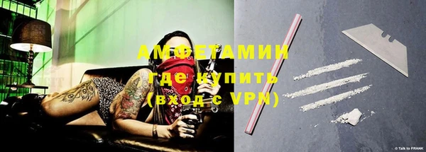 сатива Верея