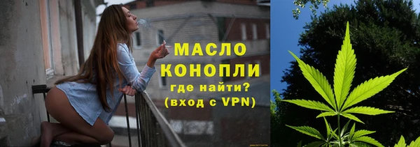сатива Верея
