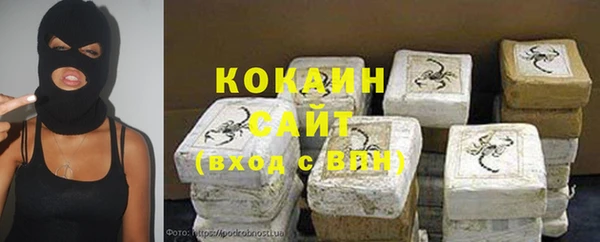 сатива Верея