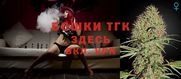 сатива Верея